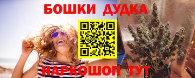 метадон Кингисепп