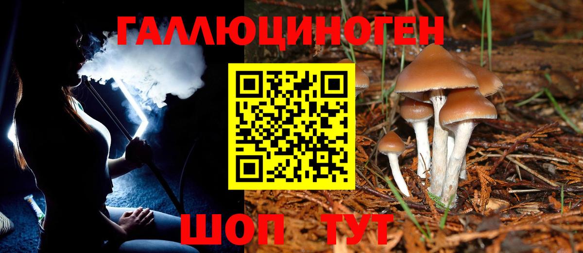 Дубна  Псилоцибиновые грибы Psilocybe  Псилоцибиновые грибы ЛСД  Вход с VPN 