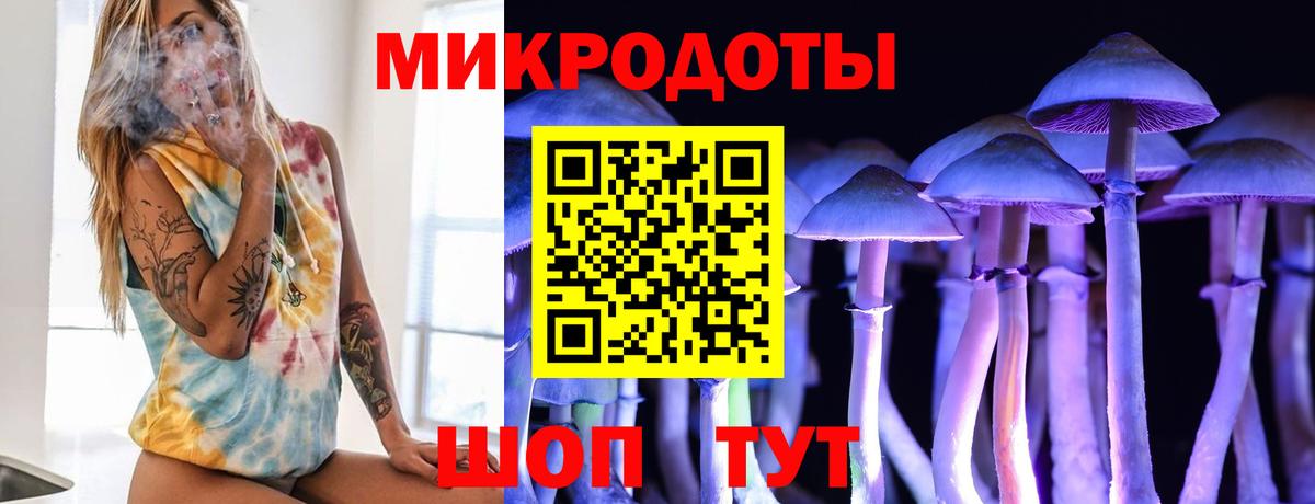 Псилоцибиновые грибы MAGIC MUSHROOMS Дубна